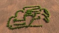 Green summer lawn grass symbol shape on brown soil or earth background, sign of a formula one car Royalty Free Stock Photo