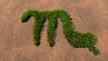 Green summer lawn grass symbol shape on brown soil or earth background, sign of scorpius zodiac sign