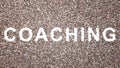 Large community of people forming the word COACHING. 3d illustration metaphor for training, sport, business