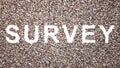 Large community of people forming the the word SURVEY. 3d illustration metaphor for feedback and rating
