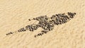 Stones on beach sand handmade symbol shape, golden sandy background, sign of a rocket