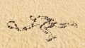 Stones on beach sand handmade symbol shape, golden sandy background, tennis player sign Royalty Free Stock Photo