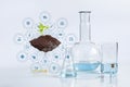 Concept of conducting experiments with plant samples