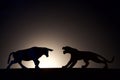 Concept conflict.Bull versus tiger silhouette