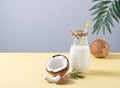 Concept Of Conscious Consumption. Vegan milk bottle with half coconuts and palm branch on yellow and gray background. Front view