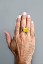 Concept and contrast of hairy man hand and flower Royalty Free Stock Photo