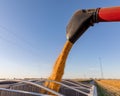 Combine harvester loading corn in grain truck Royalty Free Stock Photo