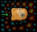 Concept of coronavirus distribution from bad food. Piece of grey bread with green mold on black background