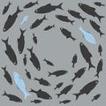 Concept of courage, confidence, success, crowd and creativity. One unique fish swims opposite from identical black ones