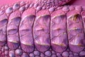 Concept Crocodile Pattern, Textured Pink Crocodile Skin Pattern for Chic Design Inspiration