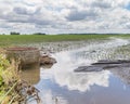 Cornfield flooding, crop damage and soil erosion from heavy rains and storms. Royalty Free Stock Photo
