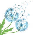 concept dandelion. Vector