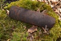 Concept of danger: old whizbang, artillery rusty whizzbang high explosive of the Second World War in thicket forest of Royalty Free Stock Photo