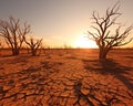 concept of dead trees over a barren landscape.