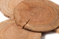 The Concept dendrochronology. tree trunks clearly visible annual rings, round slices of trees, white background Royalty Free Stock Photo