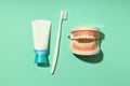 Concept of dental care on mint background