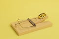 the concept of dependence on money. a dollar coin in a mousetrap on a yellow background. 3D render Royalty Free Stock Photo