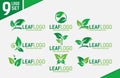 Eco Green Leaf logo set Royalty Free Stock Photo