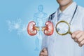 Concept of diagnosis and treatment of kidney disease