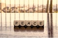 5 dices forming the Word `peace`