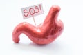 Concept of disease, pathology or unpleasant pain or digestive disorders in stomach. Model of stomach with poster SOS calls for hel