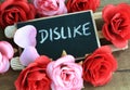 Concept of dislike Royalty Free Stock Photo