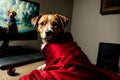 A Dog Sitting In Front Of A Laptop Computer. Generative AI Royalty Free Stock Photo