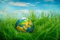 Concept - Earth Day Royalty Free Stock Photo