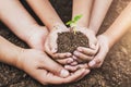 concept eco hand helping holding protection young plant in garden Royalty Free Stock Photo