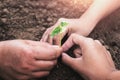 concept eco hand helping planting young tree Royalty Free Stock Photo