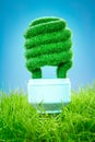 Concept Eco light bulb Royalty Free Stock Photo