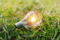 concept eco light bulb on green grass Royalty Free Stock Photo