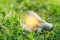concept eco light bulb on green grass with idea saving power ene Royalty Free Stock Photo