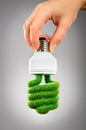 Concept Eco light bulb Royalty Free Stock Photo