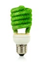 Concept Eco light bulb Royalty Free Stock Photo