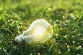 concept eco. lightbulb on green grass with sunset and bokeh back