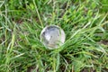 The concept of ecology and safe environment. Glass ball, globe on background of green grass Royalty Free Stock Photo