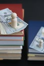 concept of education and income. Wooden figures dollars and books on a black background. vertical photo