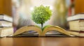 The concept of education in the world, Earth Day or environmental protection, the hand to protect the growing forest Royalty Free Stock Photo