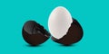 Concept egg difference and ideas egg white and black color business model with business choice better or best and ideas Royalty Free Stock Photo