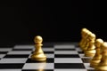 The concept of an elected leader of chess pieces of pawns