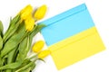 The concept of ending the war in Ukraine. Blu and yellow envelope and yellow tulips on white background Royalty Free Stock Photo