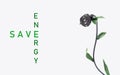The concept energy save. Black electric plug with green leaves on a white background Royalty Free Stock Photo
