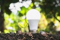 concept energy saving lightbulb with plant growing and money sta Royalty Free Stock Photo