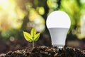 concept energy saving lightbulb with plant growing and sunshine Royalty Free Stock Photo