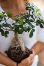 Concept of environment and love for nature - earth`s day nature protection - woman holding little beautiful green tree bonsai on
