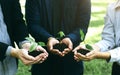 Concept of the Environment World Earth Day. Business hands holding green plants in soil together are the symbol of green business Royalty Free Stock Photo