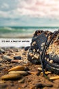 Concept of environmental protection and pollution. An old Shoe covered with shells lies on the coast in the sea foam. Close up. Royalty Free Stock Photo