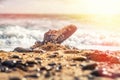 Concept of environmental protection and pollution. An old Shoe, covered with shells, lies in the coastal sand. In the background Royalty Free Stock Photo