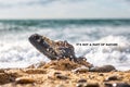 Concept of environmental protection and pollution. An old Shoe, covered with shells, lies in the coastal sand. The ocean ans sky Royalty Free Stock Photo